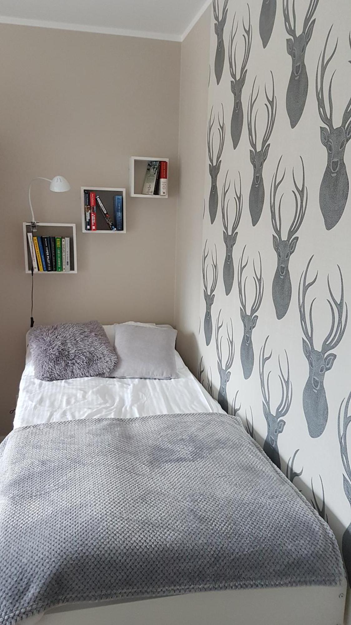 Apartament Pod Jelonkiem Sklářská Poruba Exteriér fotografie